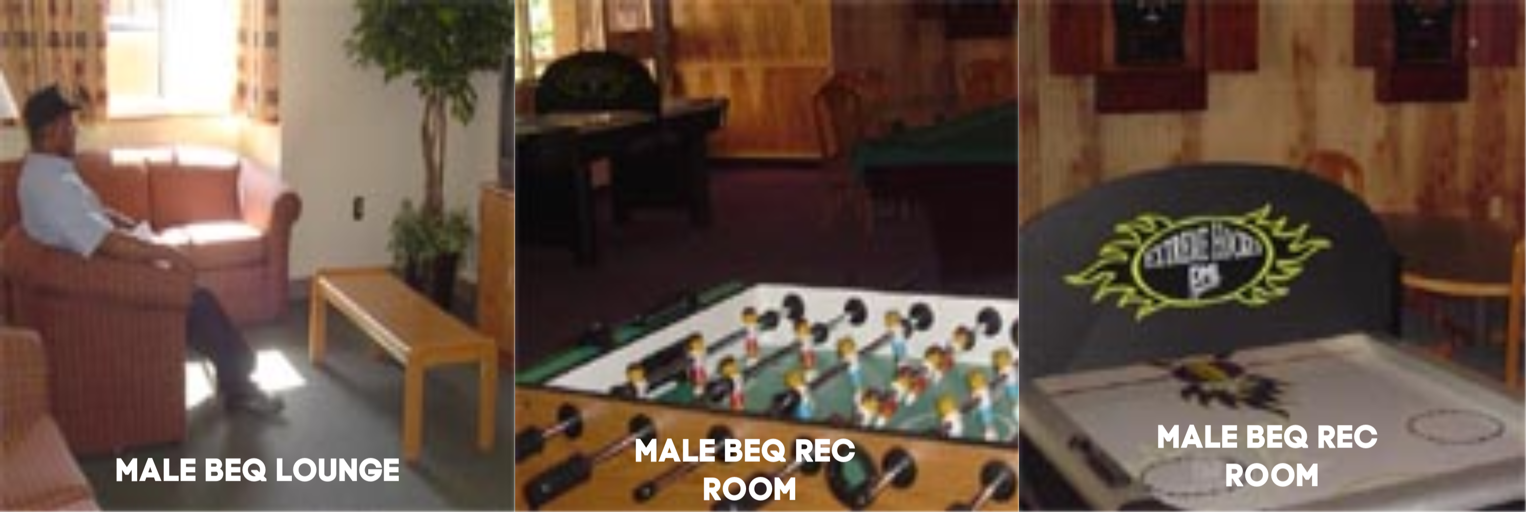 Ducks In A Row Collage 2