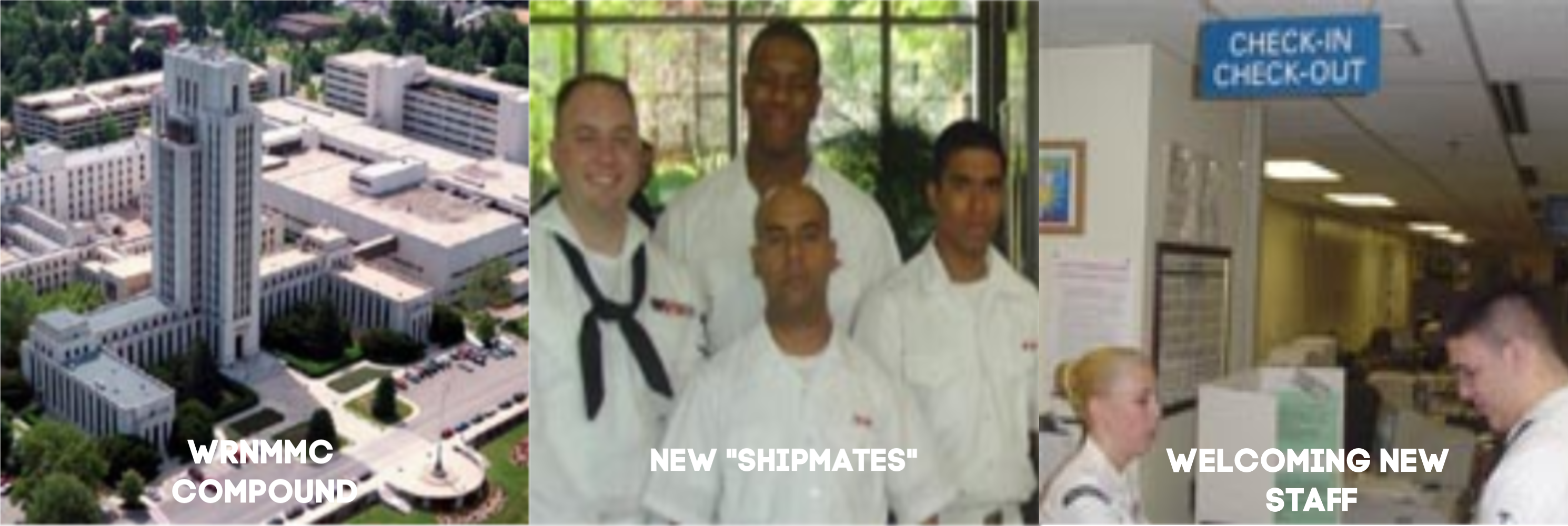 Ducks In A Row Collage 2