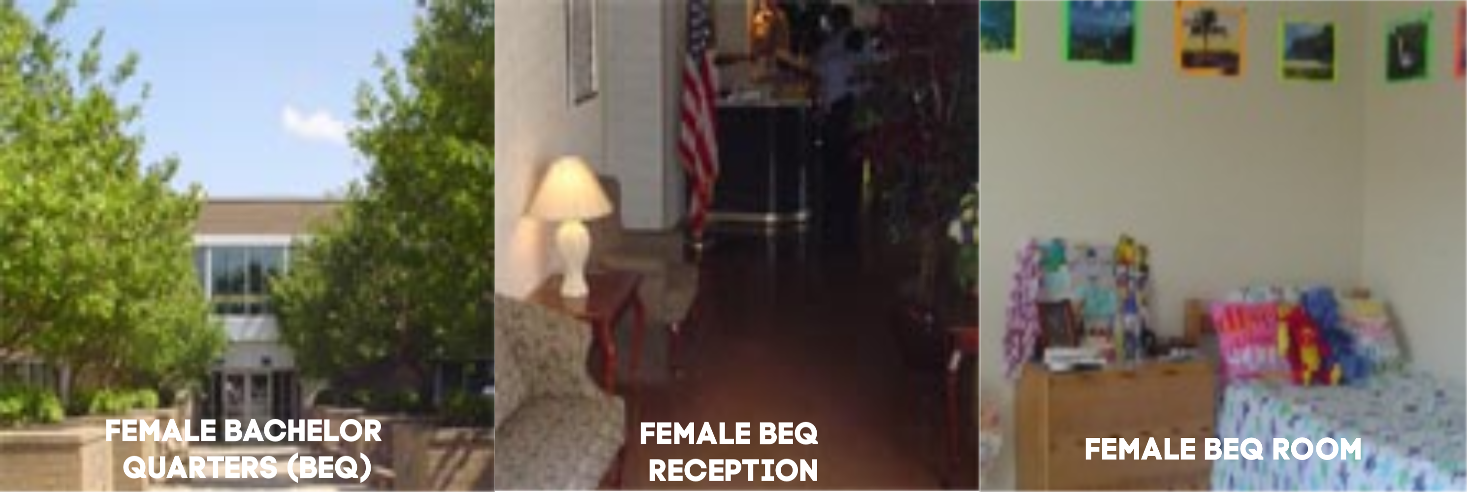 Ducks In A Row Collage 2 (6)