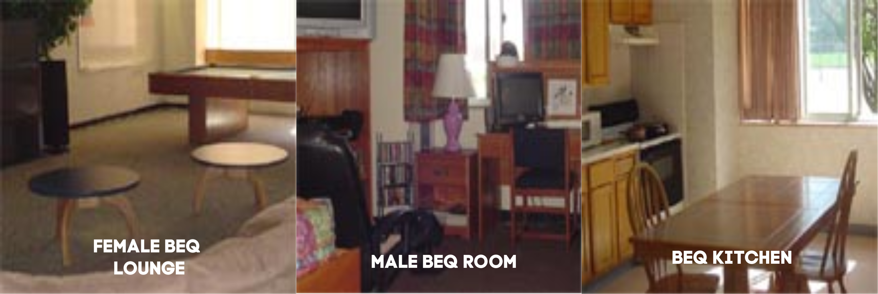 Ducks In A Row Collage 2 (7)