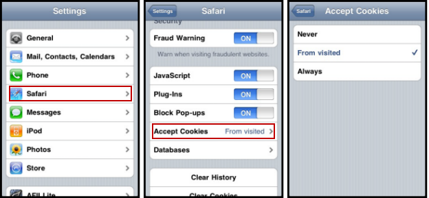 Screenshot of Safari Mobile