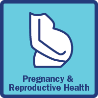 pregnancy icon